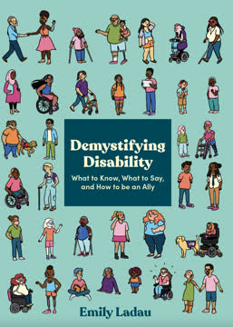 Demystifying Disability Summary