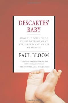 Descartes&#039; Baby Summary