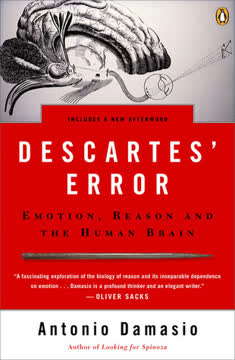 Descartes&#039; Error Summary