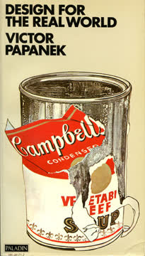 Design for the Real World Summary