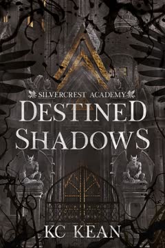 Destined Shadows Summary