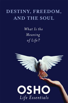Destiny, Freedom, and the Soul Summary