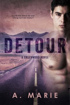 Detour Summary