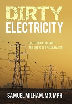 Dirty Electricity Summary