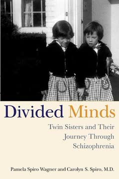Divided Minds Summary