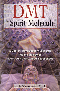 DMT Summary