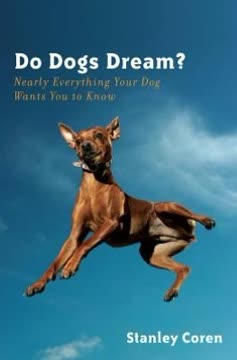 Do Dogs Dream? Summary