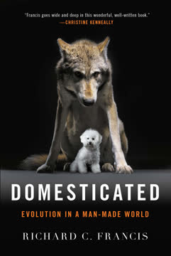 Domesticated Summary