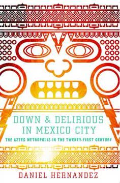Down and Delirious in Mexico City Summary