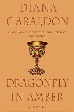 Dragonfly in Amber Summary