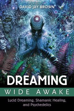 Dreaming Wide Awake Summary