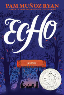 Echo Summary