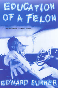 Education of a Felon Summary