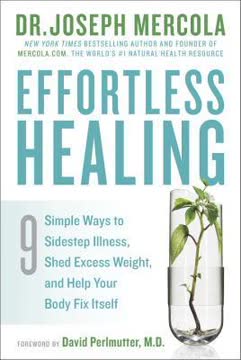 Effortless Healing Summary