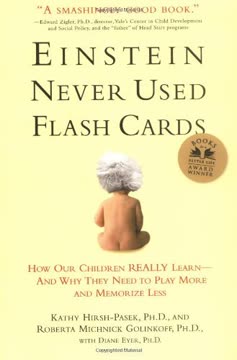 Einstein Never Used Flash Cards Summary