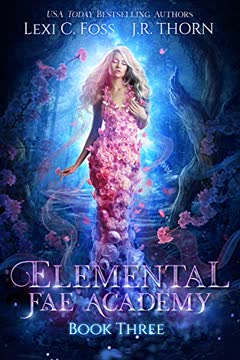 Elemental Fae Academy Summary