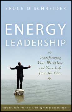 Energy Leadership Summary