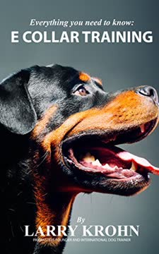 Everything you need to know about E Collar Training Summary