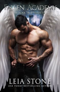 Fallen Academy Summary