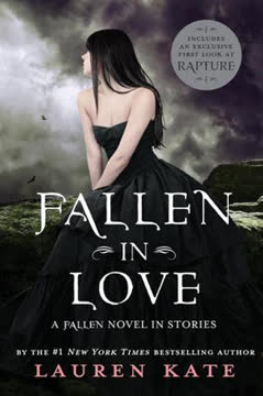 Fallen in Love Summary