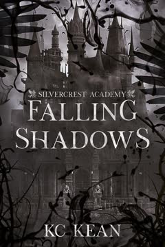 Falling Shadows Summary