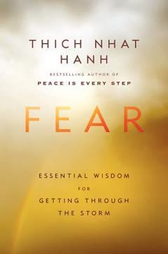 Fear Summary