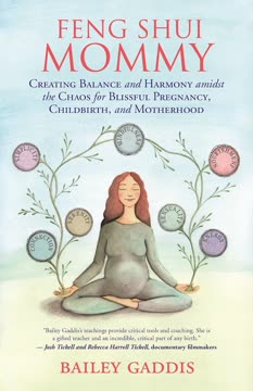 Feng Shui Mommy by Bailey Gaddis