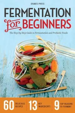 Fermentation for Beginners Summary