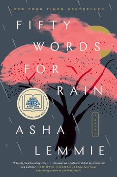 Fifty Words for Rain Summary