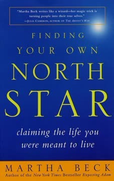 Finding Your Own North Star Summary