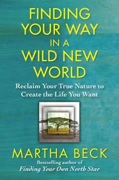Finding Your Way in a Wild New World Summary