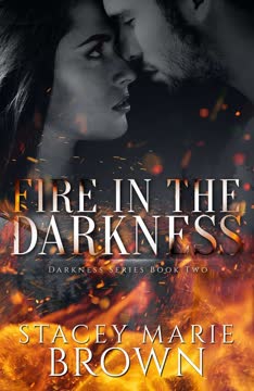 Fire in the Darkness Summary