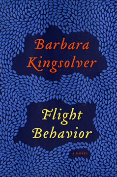 Flight Behavior Summary
