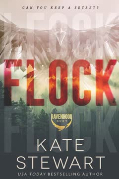 Flock Summary