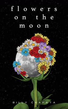 Flowers on the Moon Summary