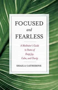 Focused and Fearless Summary