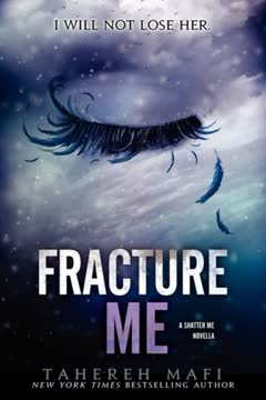 Fracture Me Summary