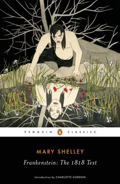 Frankenstein Summary