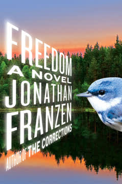 Freedom Summary
