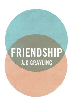 Friendship Summary