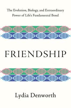 Friendship Summary