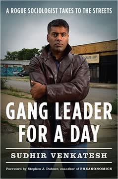Gang Leader for a Day Summary