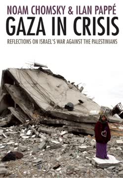 Gaza in Crisis Summary