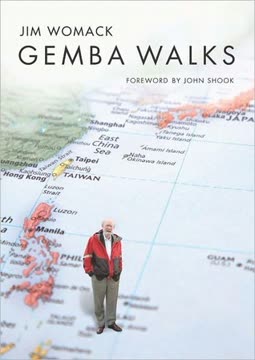 Gemba Walks Summary