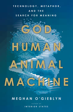 God, Human, Animal, Machine Summary