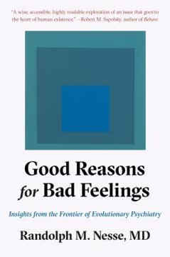 Good Reasons for Bad Feelings Summary