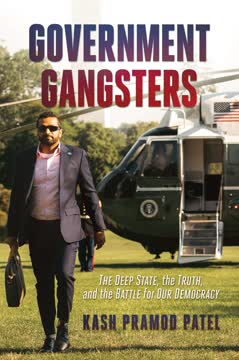 Government Gangsters Summary
