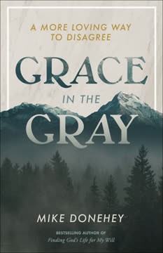 Grace in the Gray Summary