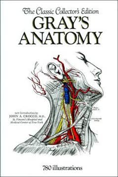 Gray&#039;s Anatomy Summary