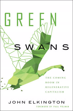 Green Swans Summary